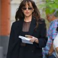 Materialists Dakota Johnson Shearling Leather Jacket